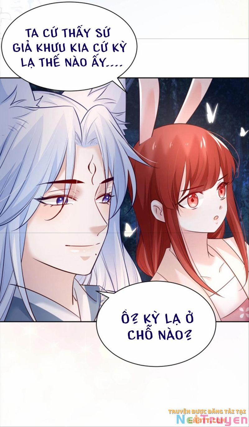 Nuôi Thỏ? Nam Chính Hắc Hóa Rồi! 46 trang 21