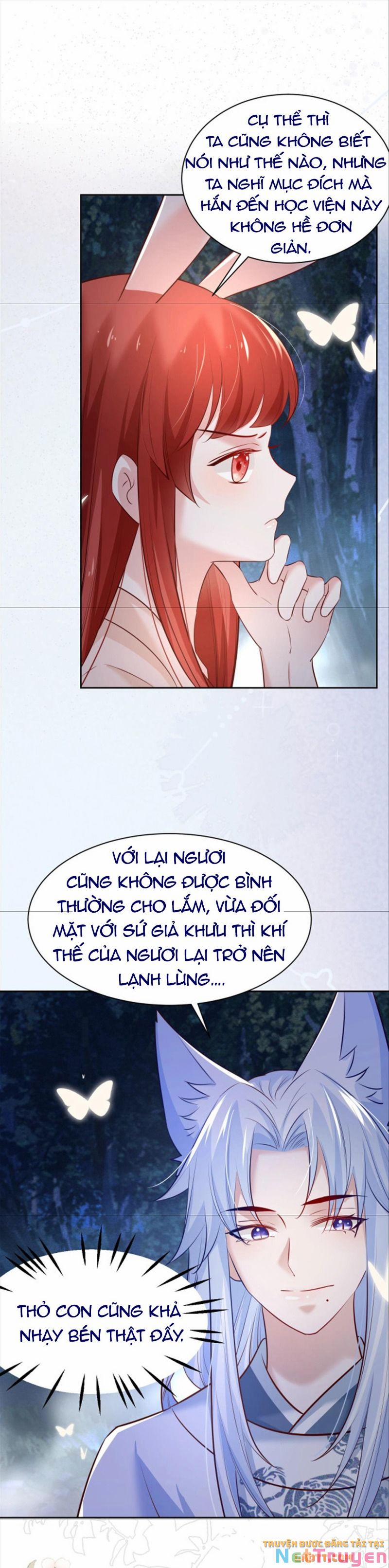 Nuôi Thỏ? Nam Chính Hắc Hóa Rồi! 46 trang 22