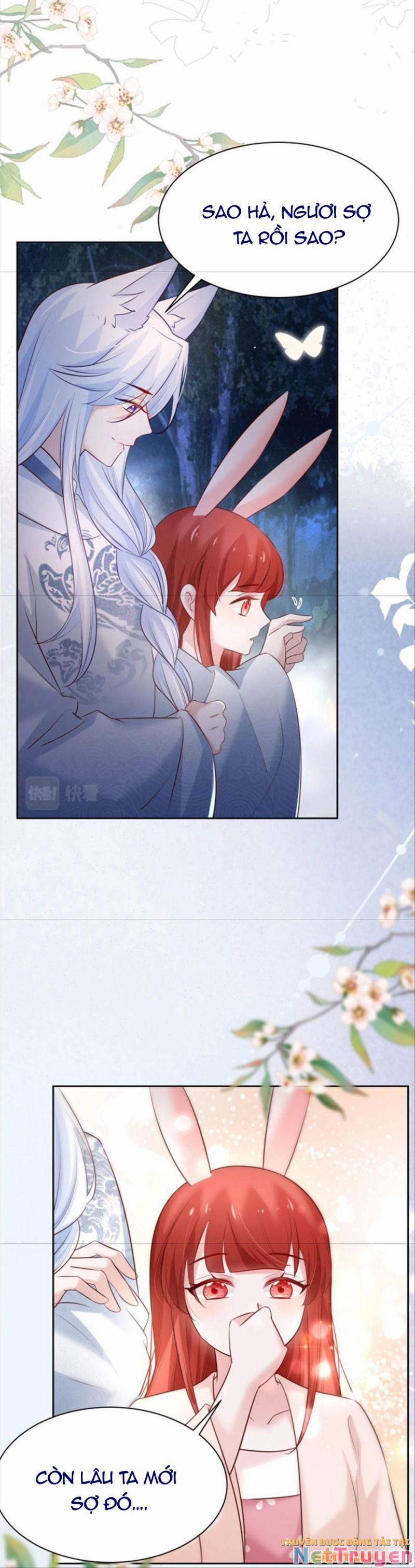 Nuôi Thỏ? Nam Chính Hắc Hóa Rồi! 46 trang 23
