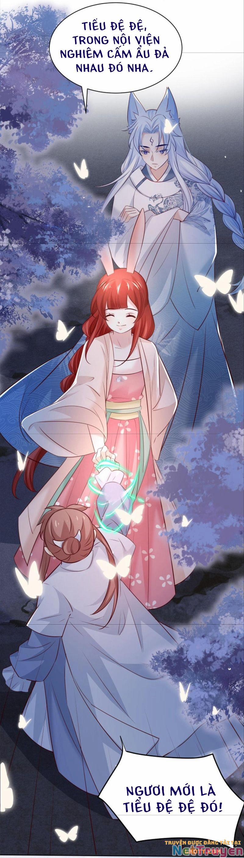 Nuôi Thỏ? Nam Chính Hắc Hóa Rồi! 46 trang 9