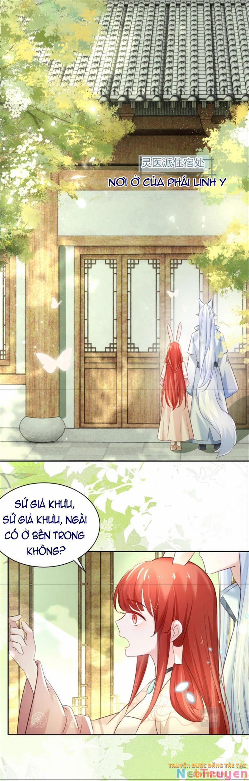 Nuôi Thỏ? Nam Chính Hắc Hóa Rồi! 47 trang 1