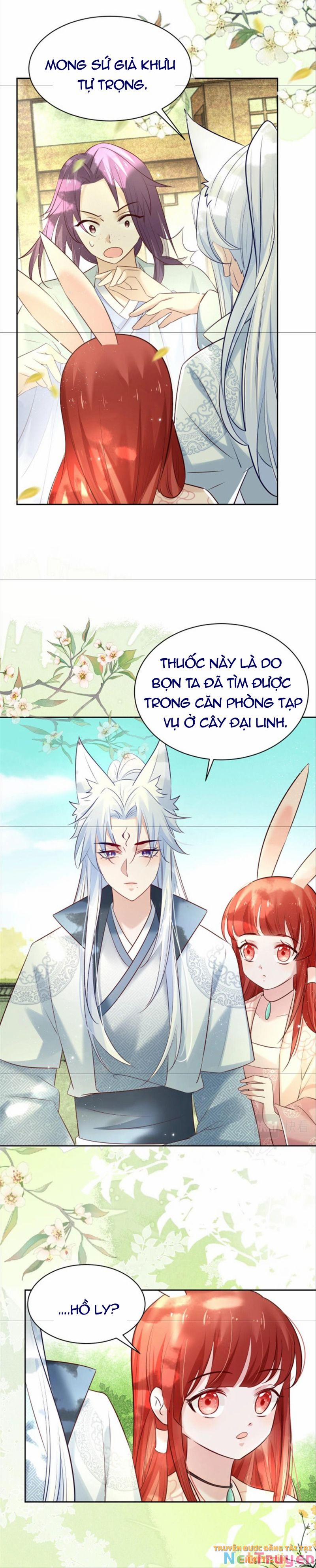 Nuôi Thỏ? Nam Chính Hắc Hóa Rồi! 47 trang 10