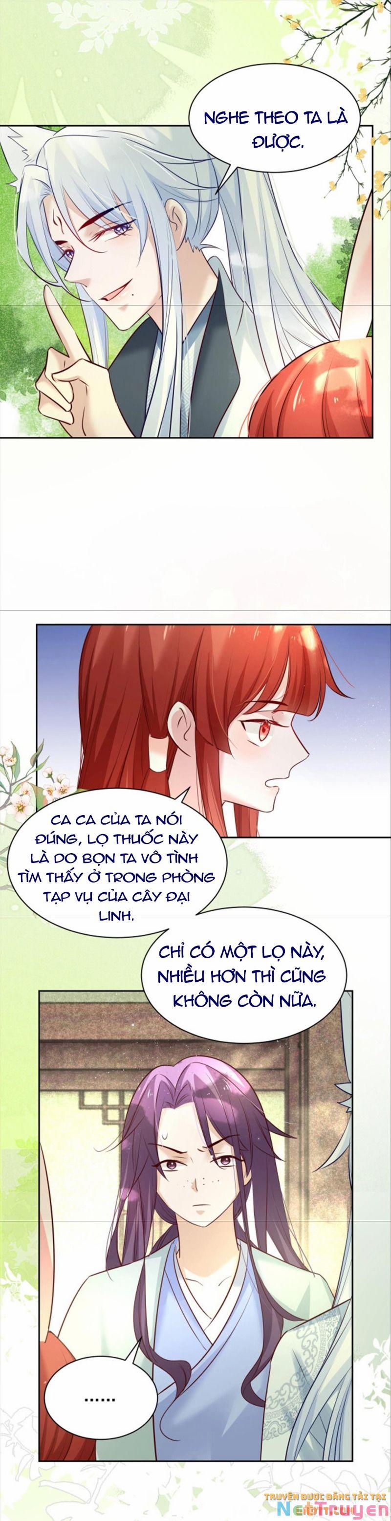 Nuôi Thỏ? Nam Chính Hắc Hóa Rồi! 47 trang 11