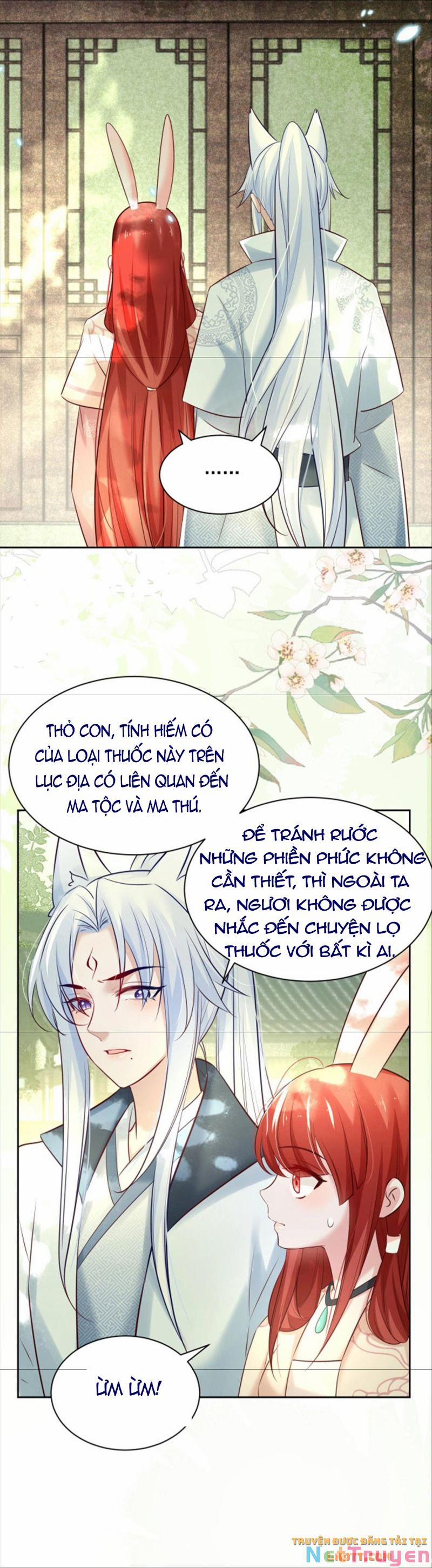 Nuôi Thỏ? Nam Chính Hắc Hóa Rồi! 47 trang 13