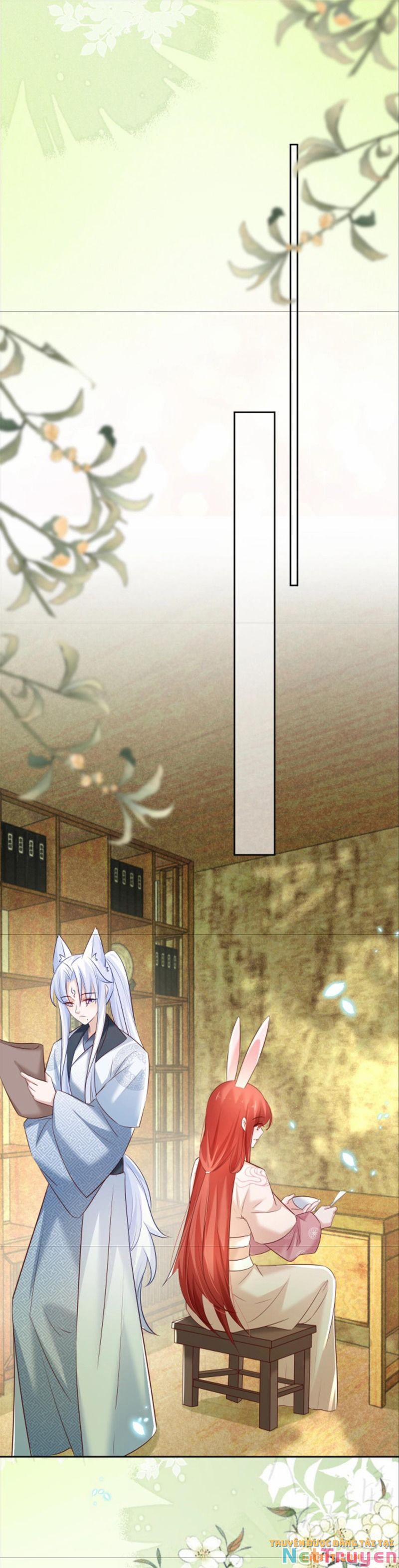 Nuôi Thỏ? Nam Chính Hắc Hóa Rồi! 47 trang 17