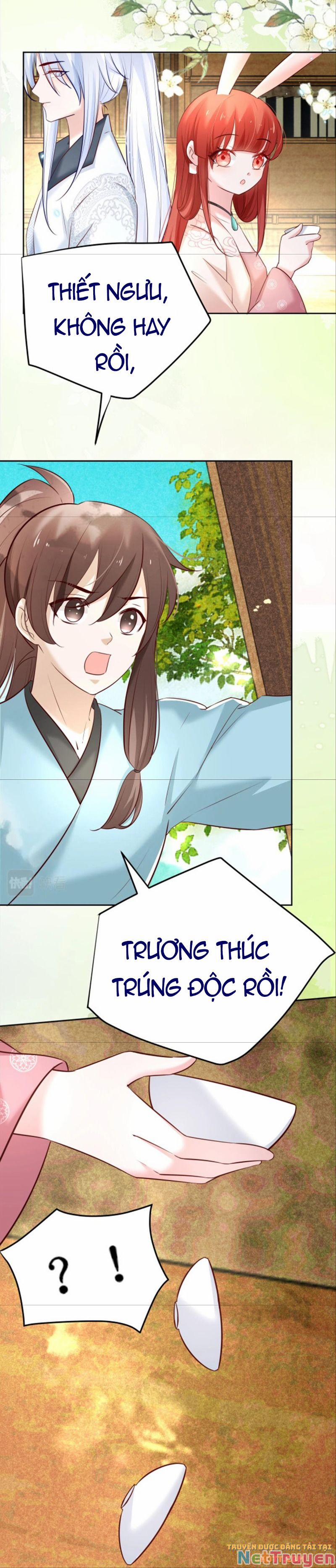 Nuôi Thỏ? Nam Chính Hắc Hóa Rồi! 47 trang 18