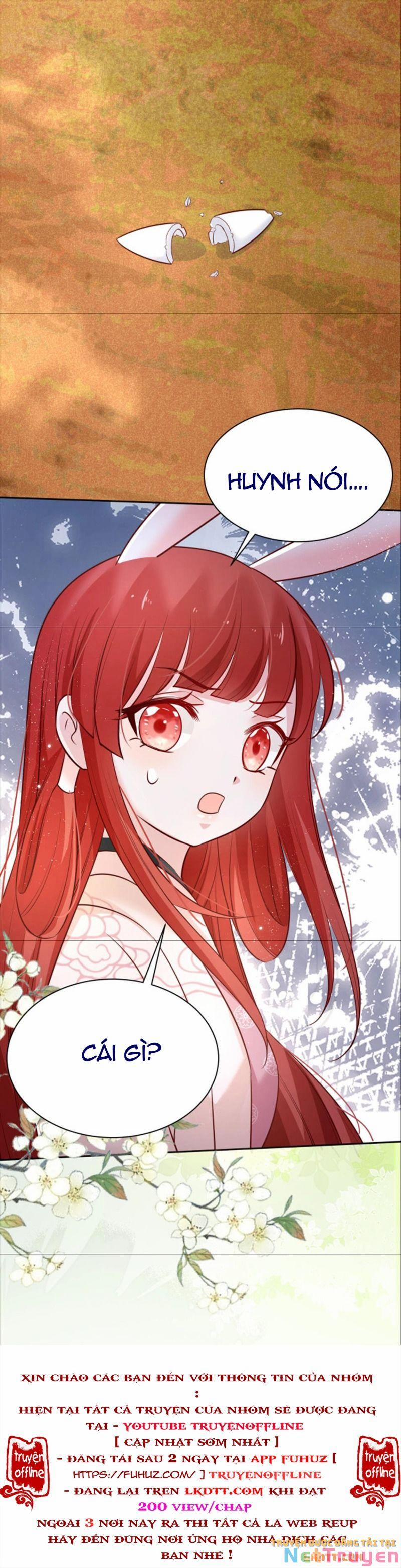 Nuôi Thỏ? Nam Chính Hắc Hóa Rồi! 47 trang 19