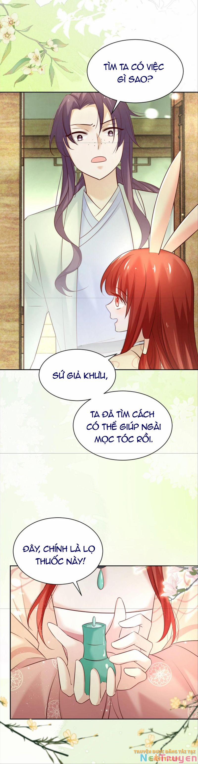 Nuôi Thỏ? Nam Chính Hắc Hóa Rồi! 47 trang 3