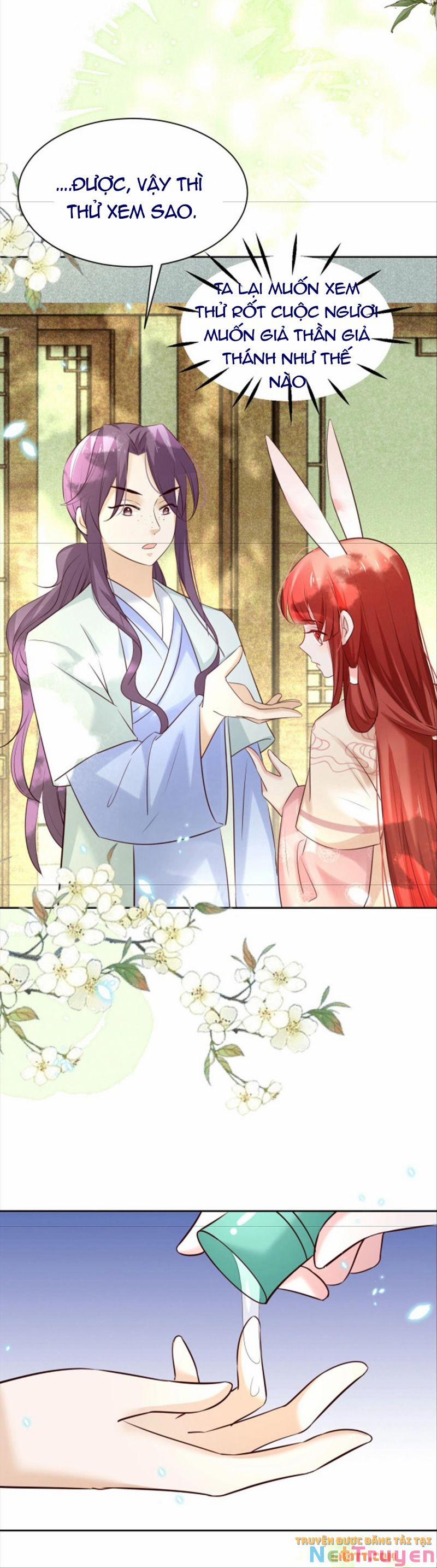 Nuôi Thỏ? Nam Chính Hắc Hóa Rồi! 47 trang 6