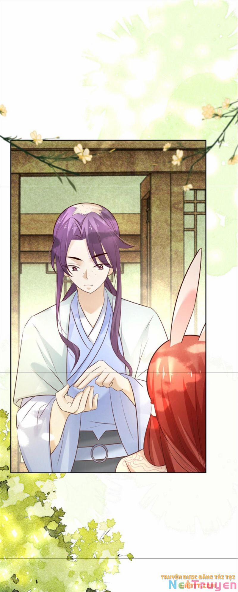 Nuôi Thỏ? Nam Chính Hắc Hóa Rồi! 47 trang 7