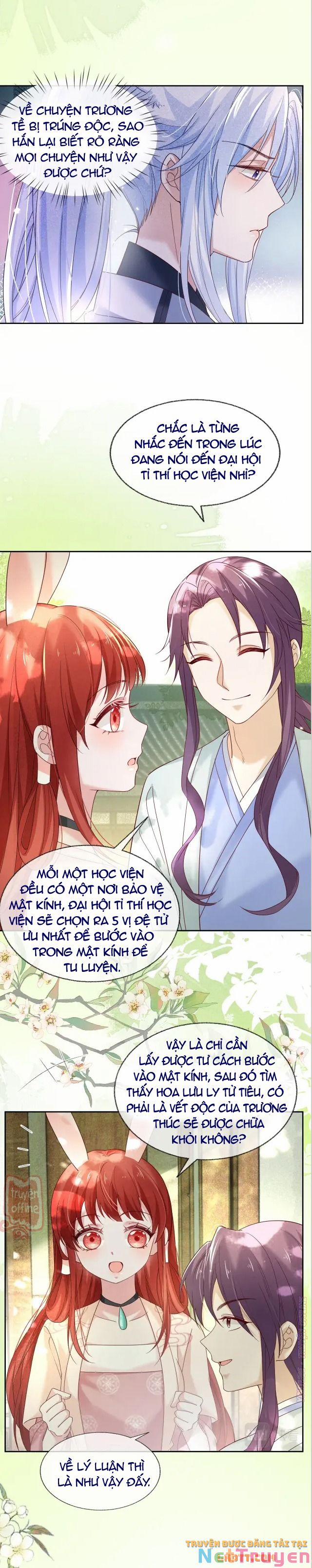 Nuôi Thỏ? Nam Chính Hắc Hóa Rồi! 48 trang 10