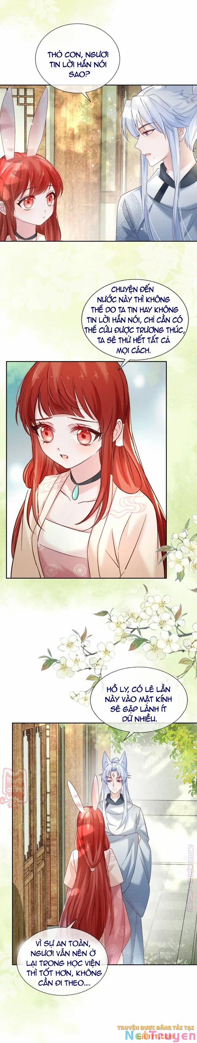 Nuôi Thỏ? Nam Chính Hắc Hóa Rồi! 48 trang 11