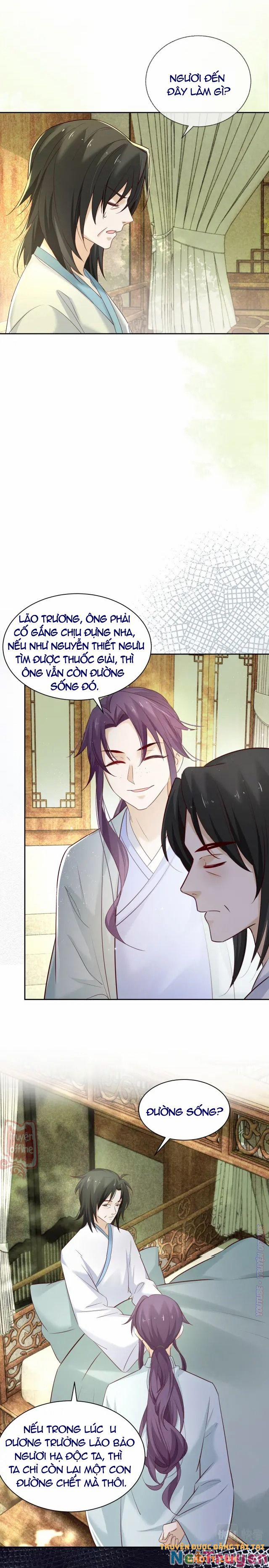 Nuôi Thỏ? Nam Chính Hắc Hóa Rồi! 48 trang 13