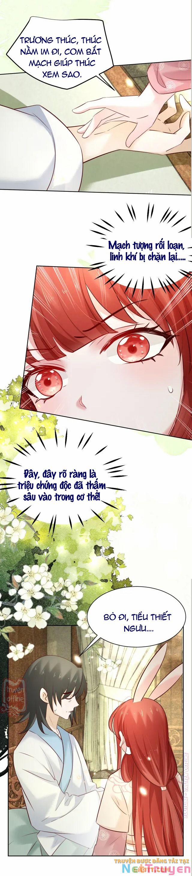 Nuôi Thỏ? Nam Chính Hắc Hóa Rồi! 48 trang 2