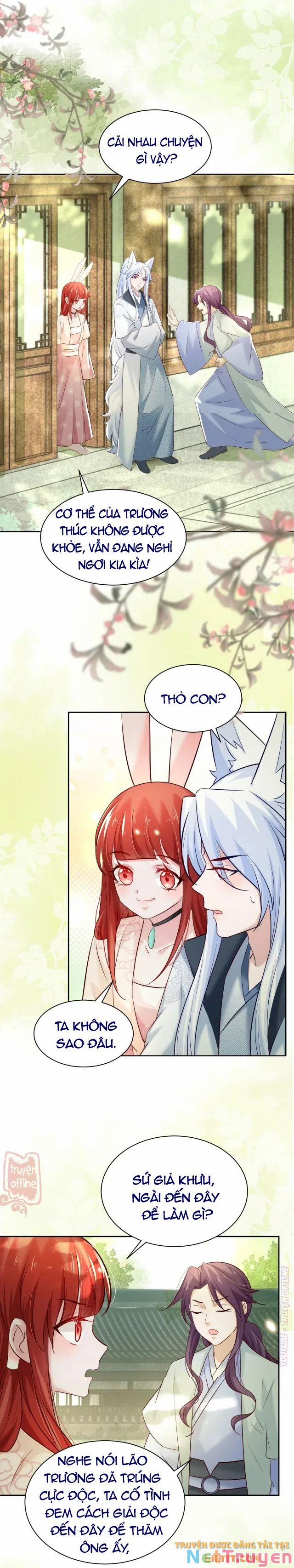 Nuôi Thỏ? Nam Chính Hắc Hóa Rồi! 48 trang 6