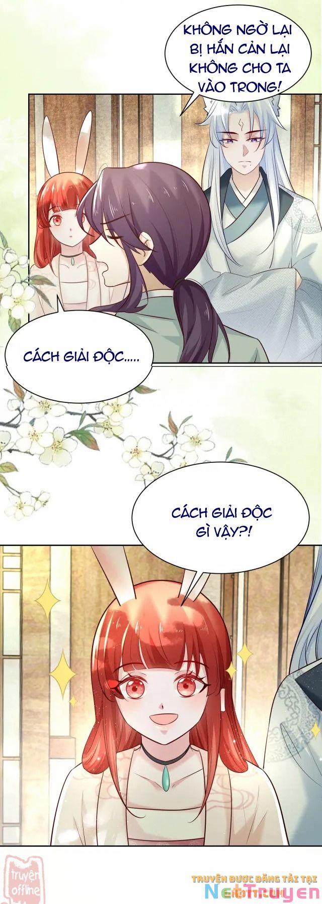 Nuôi Thỏ? Nam Chính Hắc Hóa Rồi! 48 trang 7