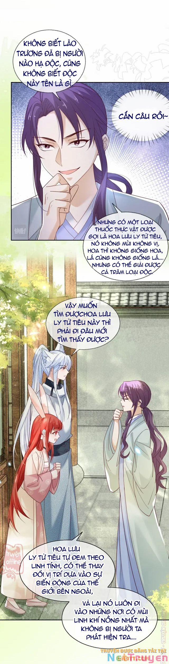 Nuôi Thỏ? Nam Chính Hắc Hóa Rồi! 48 trang 8