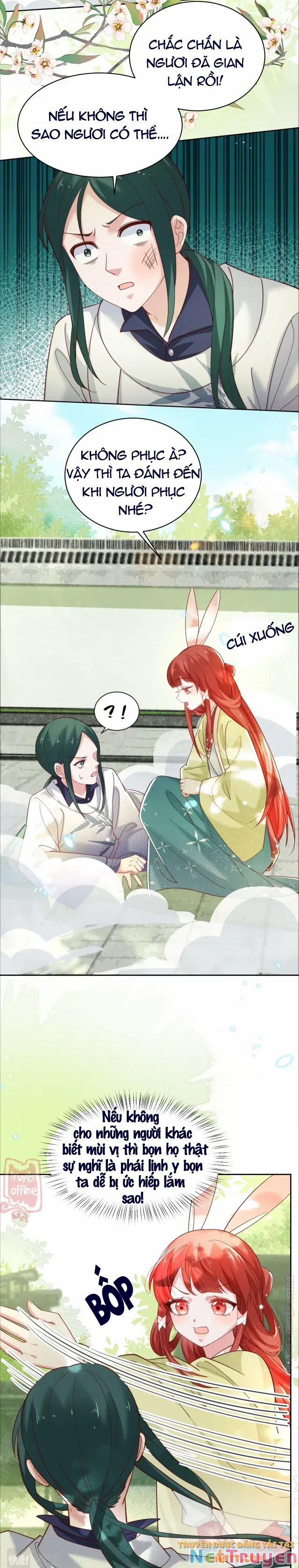 Nuôi Thỏ? Nam Chính Hắc Hóa Rồi! 49 trang 12