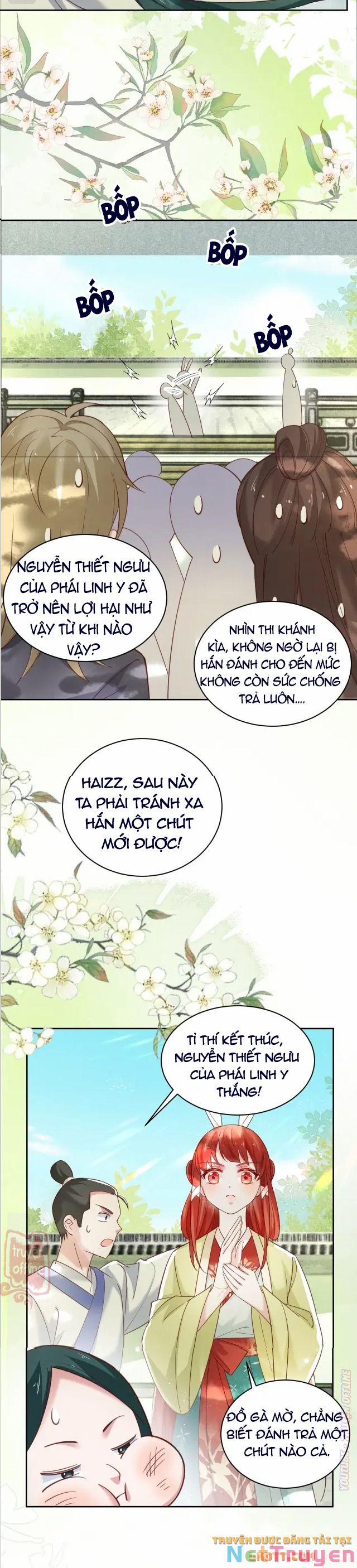 Nuôi Thỏ? Nam Chính Hắc Hóa Rồi! 49 trang 13