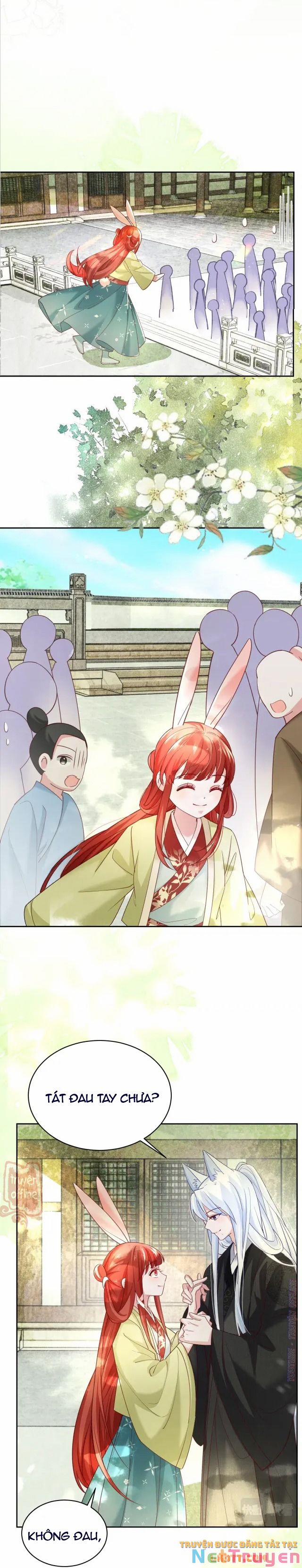 Nuôi Thỏ? Nam Chính Hắc Hóa Rồi! 49 trang 14