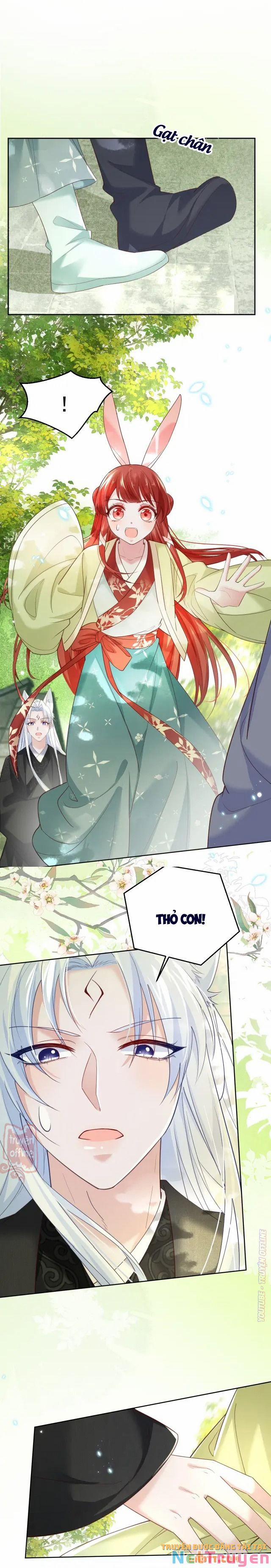 Nuôi Thỏ? Nam Chính Hắc Hóa Rồi! 49 trang 3