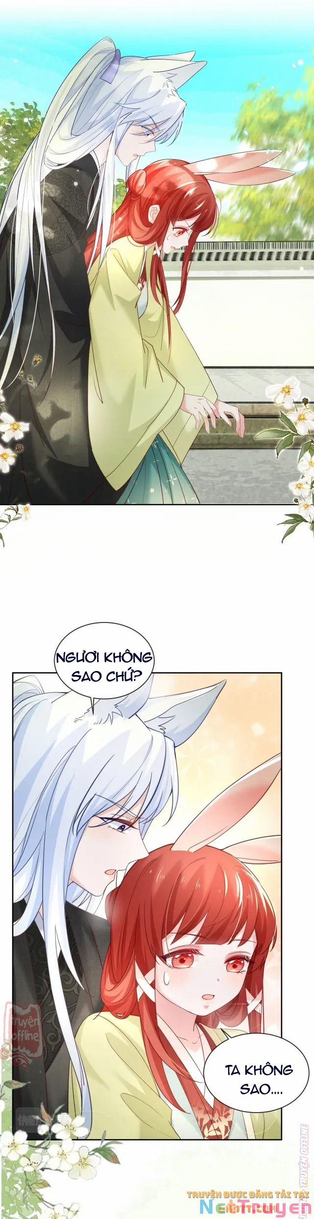 Nuôi Thỏ? Nam Chính Hắc Hóa Rồi! 49 trang 4