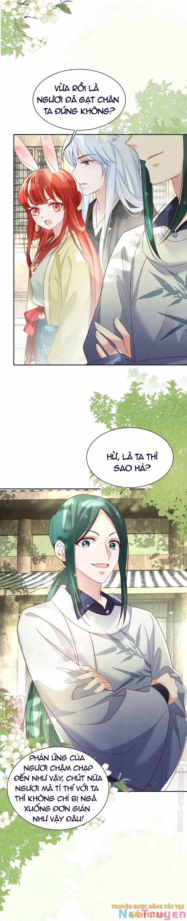Nuôi Thỏ? Nam Chính Hắc Hóa Rồi! 49 trang 5