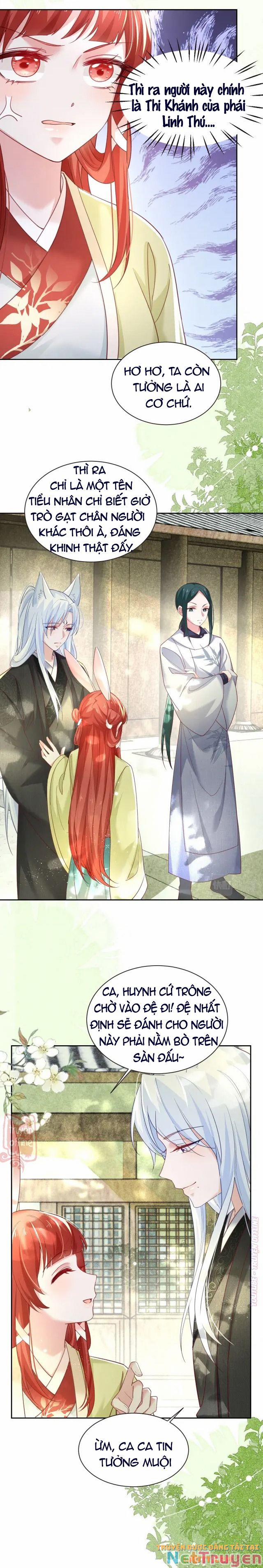 Nuôi Thỏ? Nam Chính Hắc Hóa Rồi! 49 trang 6