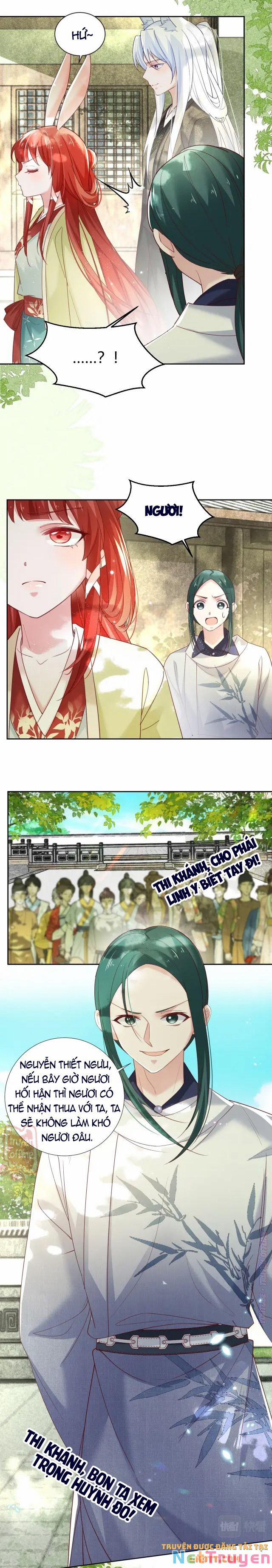 Nuôi Thỏ? Nam Chính Hắc Hóa Rồi! 49 trang 7