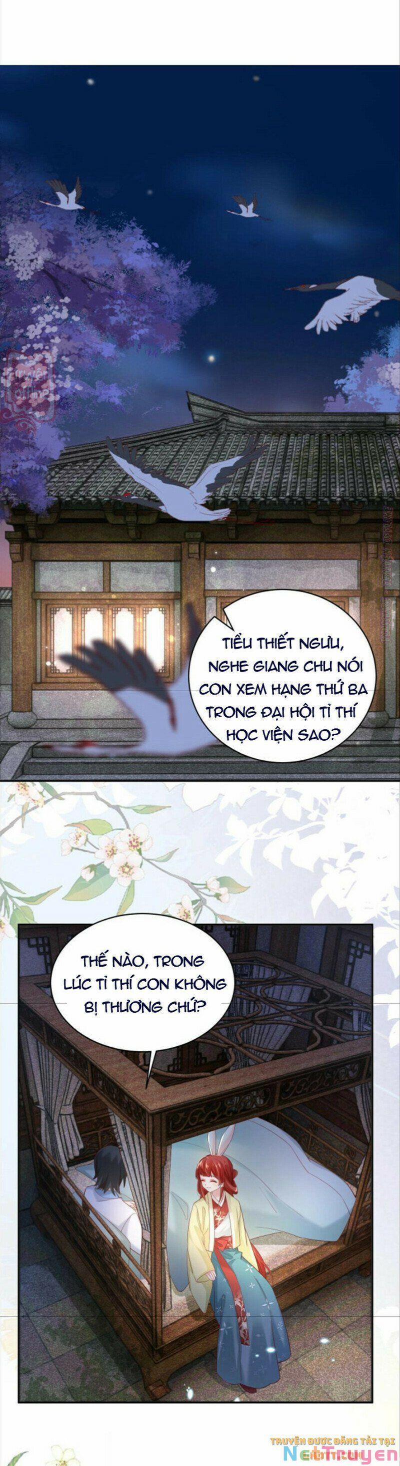 Nuôi Thỏ? Nam Chính Hắc Hóa Rồi! 50 trang 1