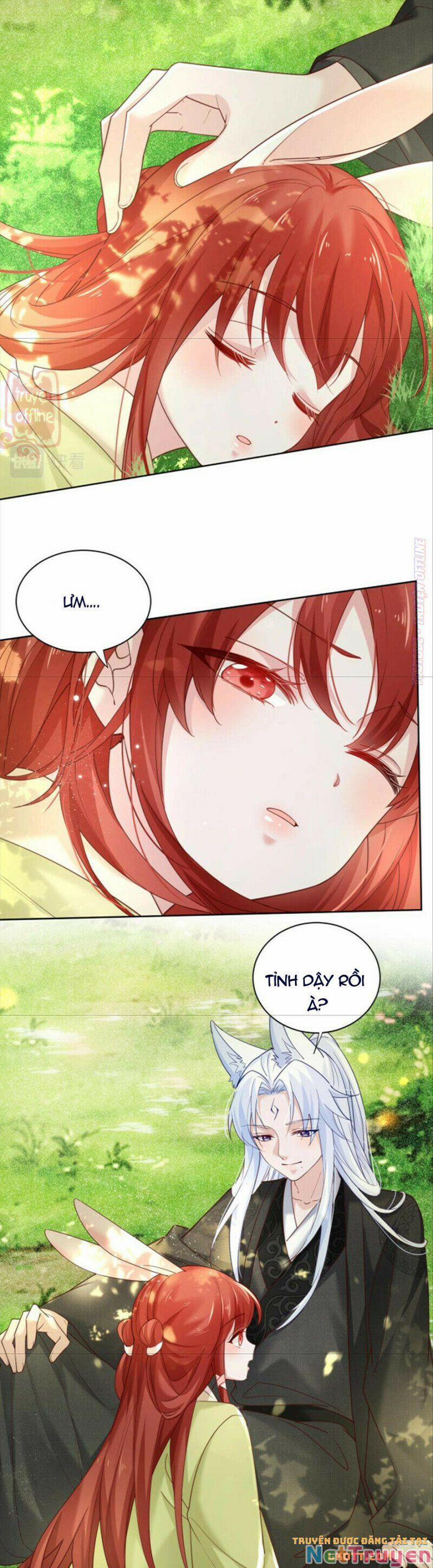 Nuôi Thỏ? Nam Chính Hắc Hóa Rồi! 50 trang 14