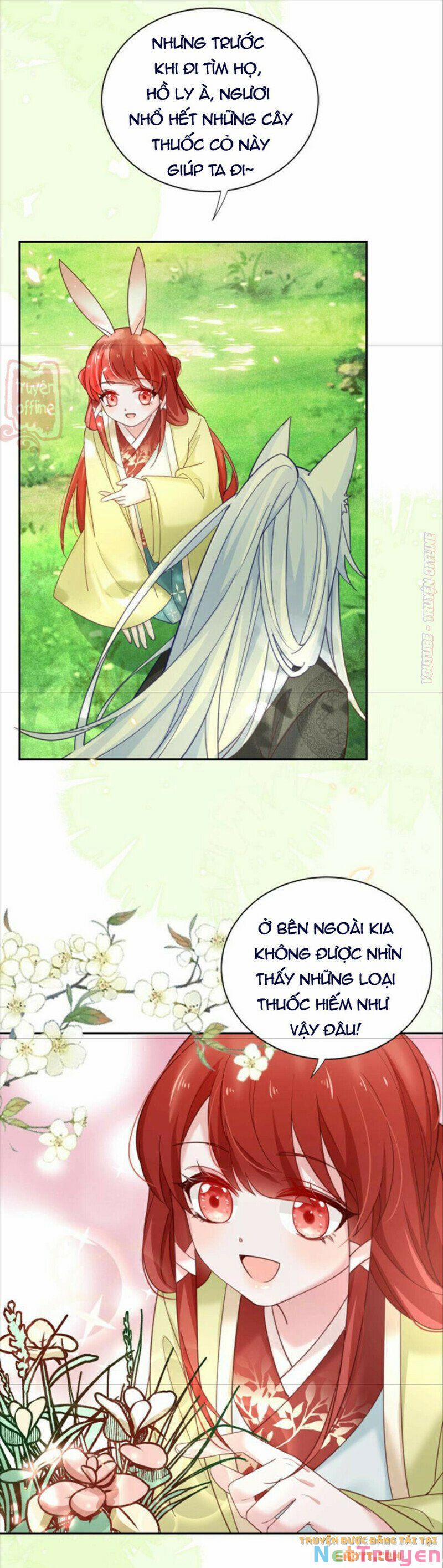 Nuôi Thỏ? Nam Chính Hắc Hóa Rồi! 50 trang 17