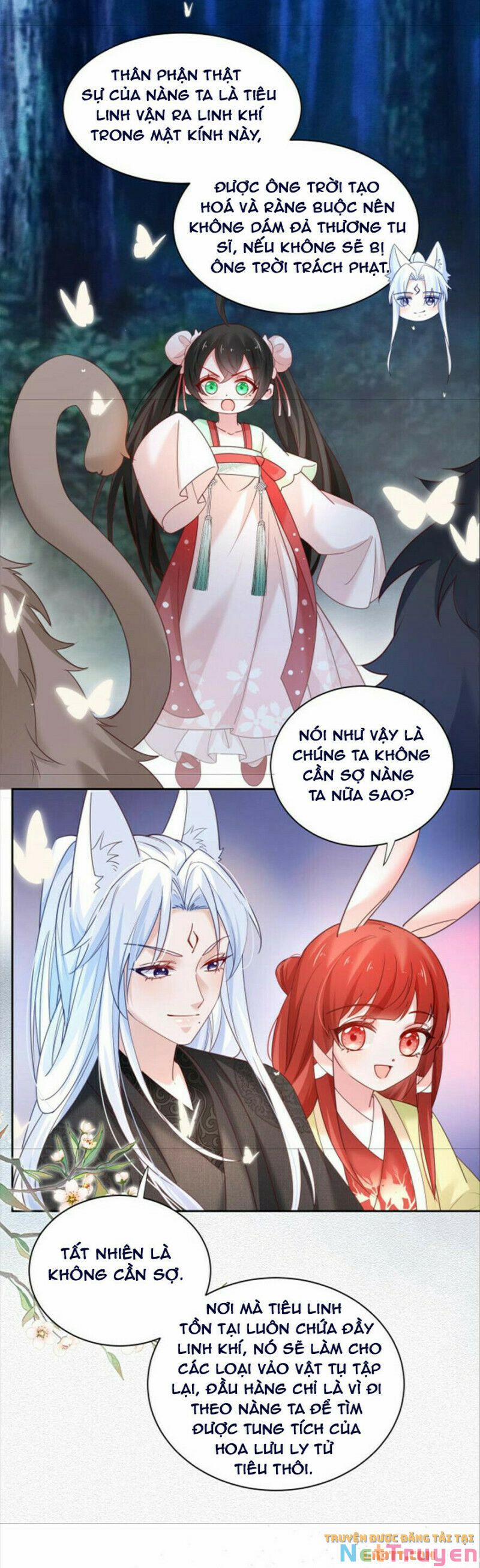 Nuôi Thỏ? Nam Chính Hắc Hóa Rồi! 51 trang 10