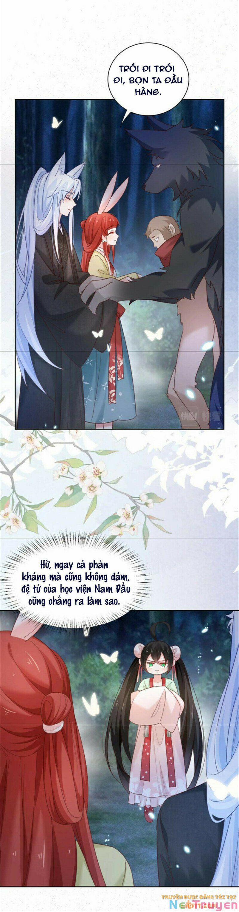 Nuôi Thỏ? Nam Chính Hắc Hóa Rồi! 51 trang 11