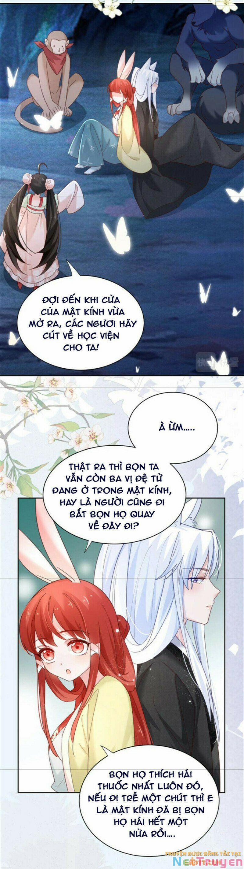 Nuôi Thỏ? Nam Chính Hắc Hóa Rồi! 51 trang 13