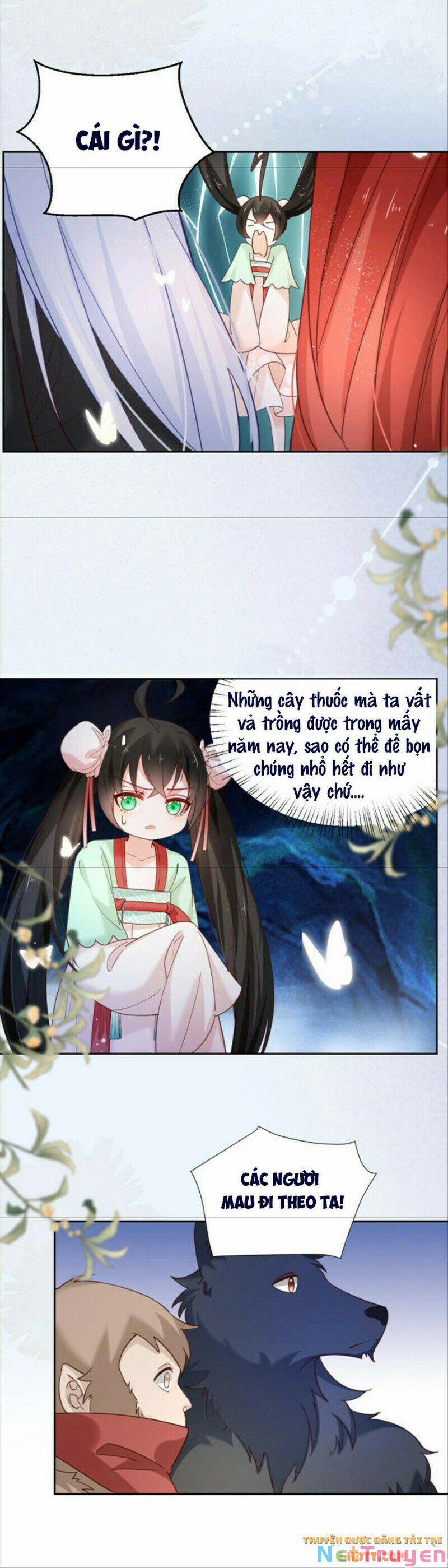 Nuôi Thỏ? Nam Chính Hắc Hóa Rồi! 51 trang 14