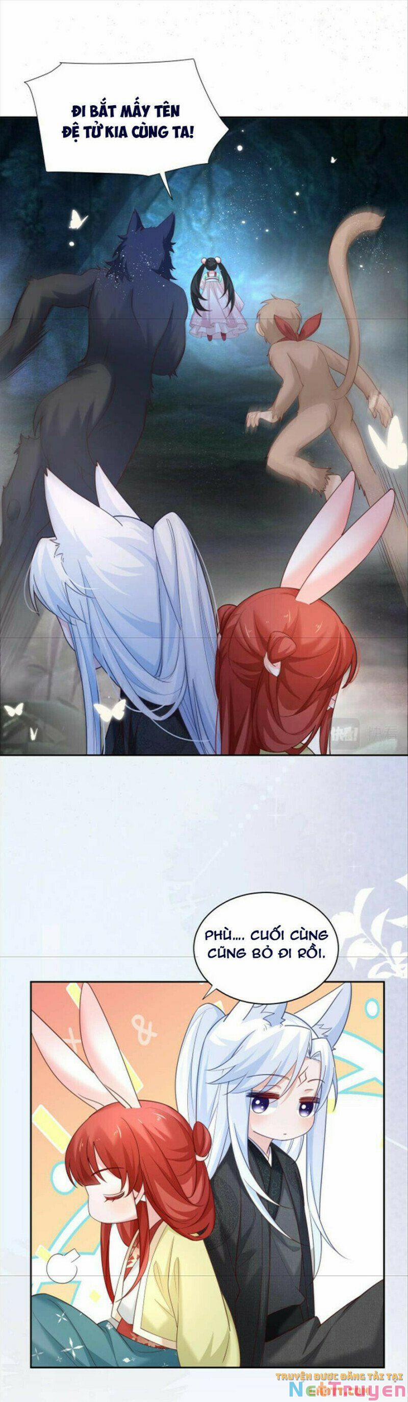 Nuôi Thỏ? Nam Chính Hắc Hóa Rồi! 51 trang 15