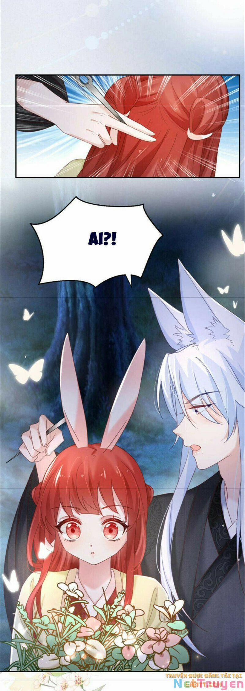 Nuôi Thỏ? Nam Chính Hắc Hóa Rồi! 51 trang 4