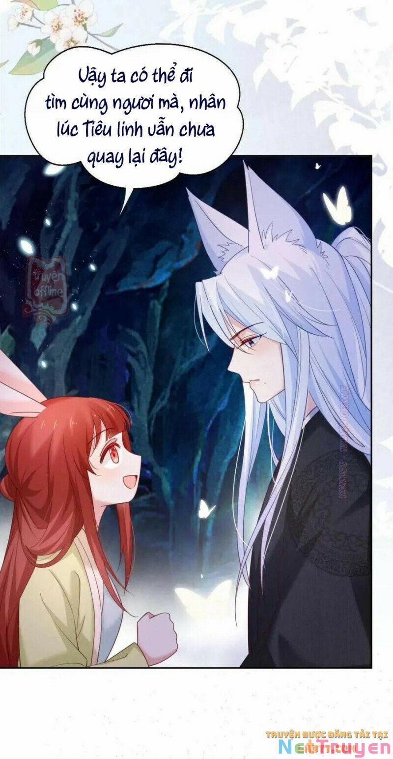 Nuôi Thỏ? Nam Chính Hắc Hóa Rồi! 52 trang 10