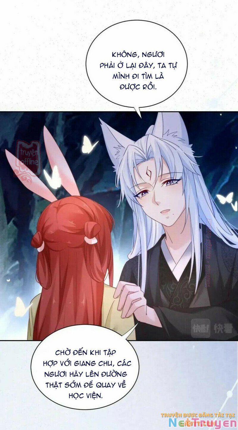 Nuôi Thỏ? Nam Chính Hắc Hóa Rồi! 52 trang 11
