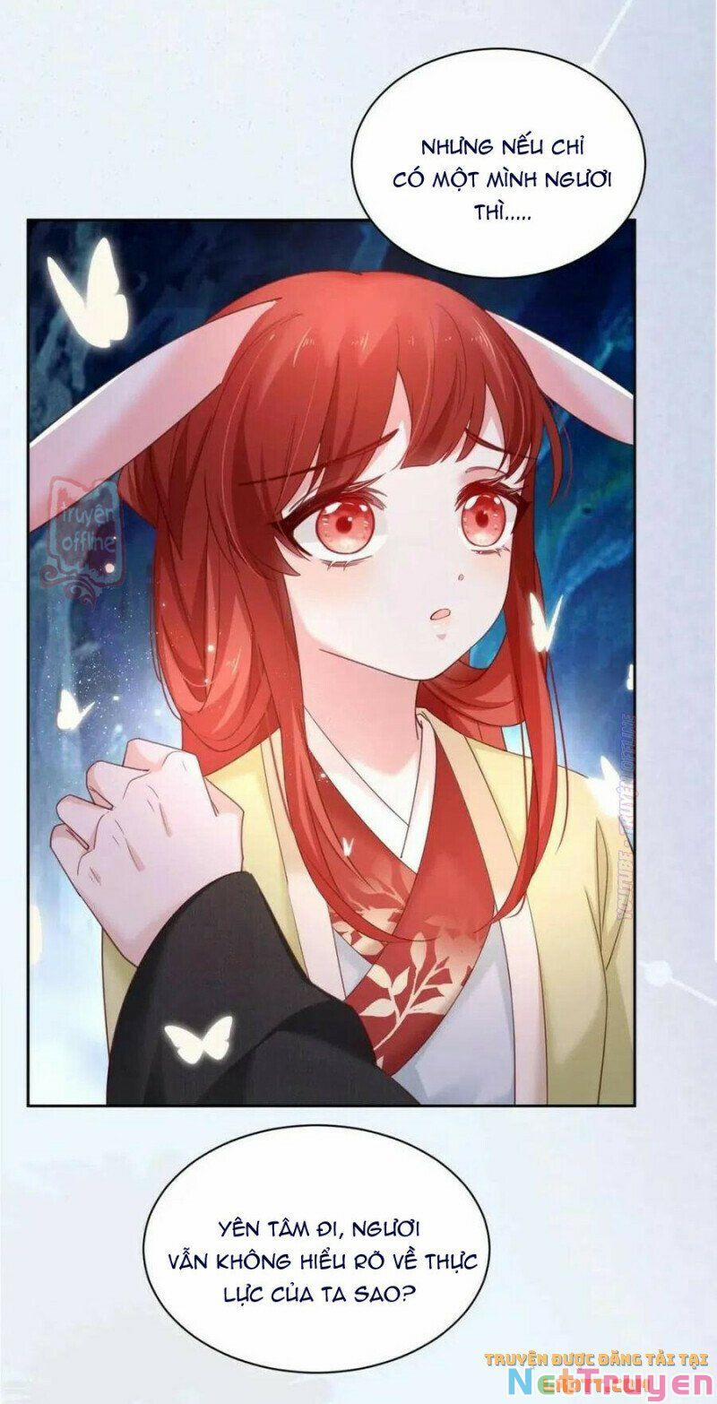 Nuôi Thỏ? Nam Chính Hắc Hóa Rồi! 52 trang 12