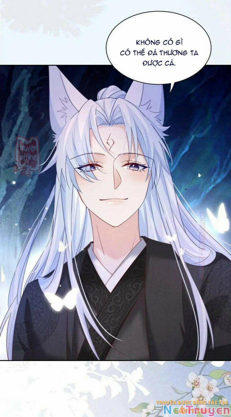 Nuôi Thỏ? Nam Chính Hắc Hóa Rồi! 52 trang 13