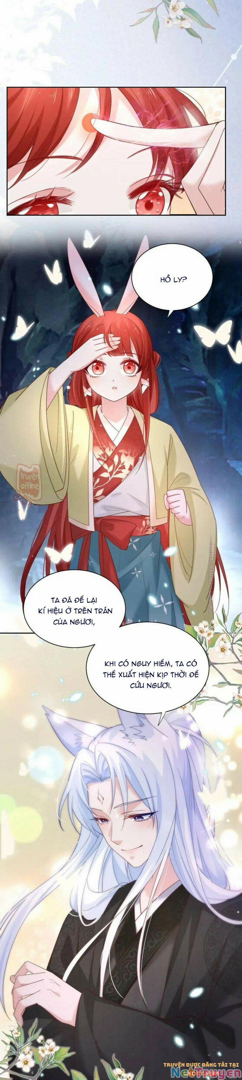 Nuôi Thỏ? Nam Chính Hắc Hóa Rồi! 52 trang 14