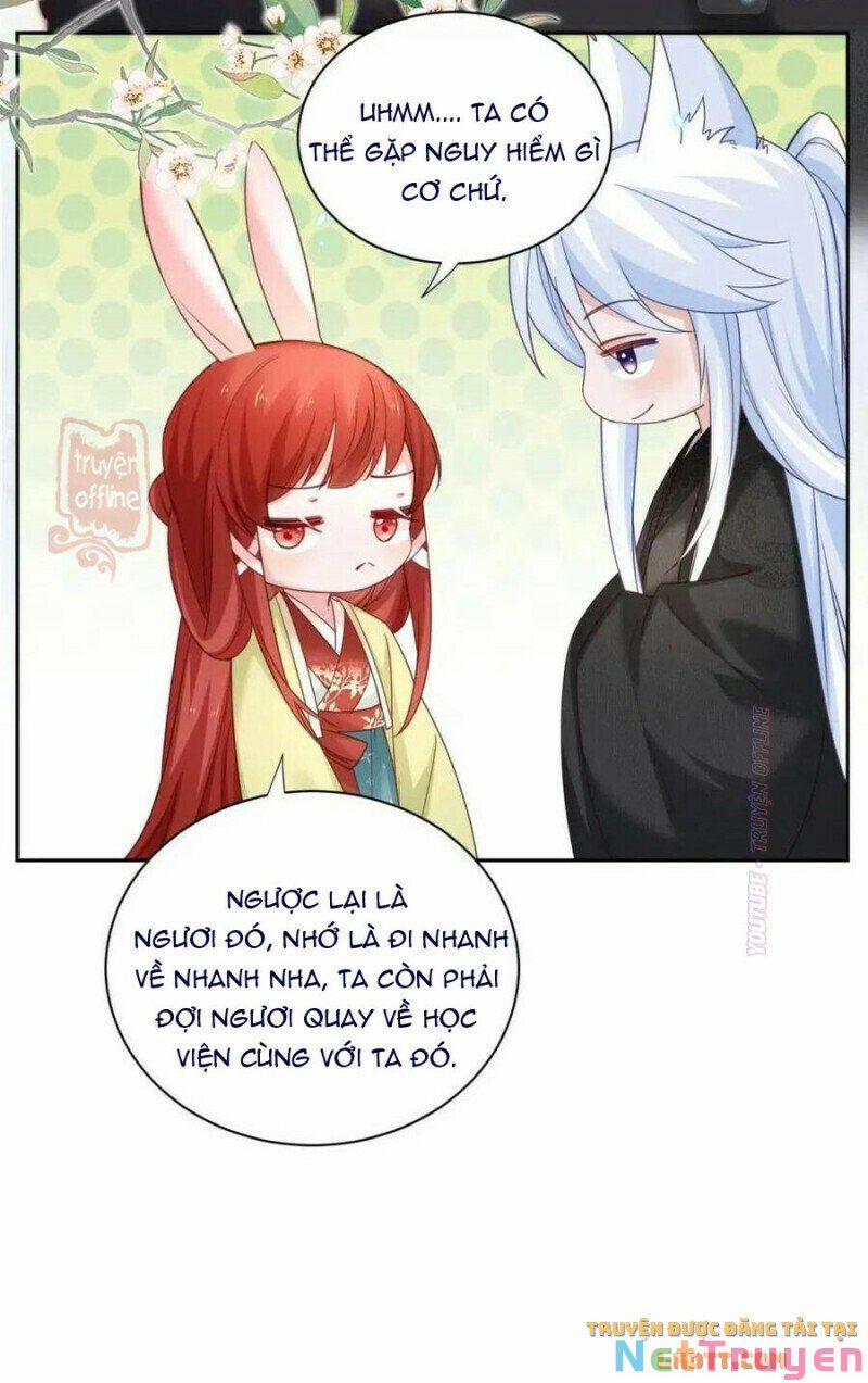 Nuôi Thỏ? Nam Chính Hắc Hóa Rồi! 52 trang 15