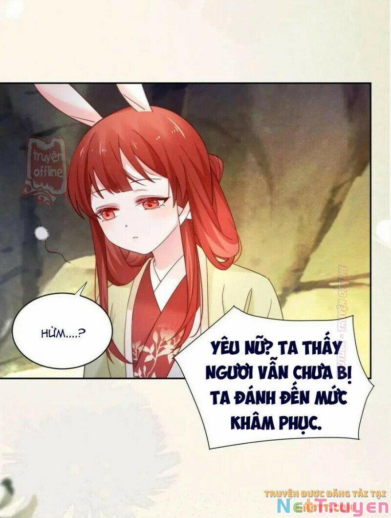 Nuôi Thỏ? Nam Chính Hắc Hóa Rồi! 52 trang 18