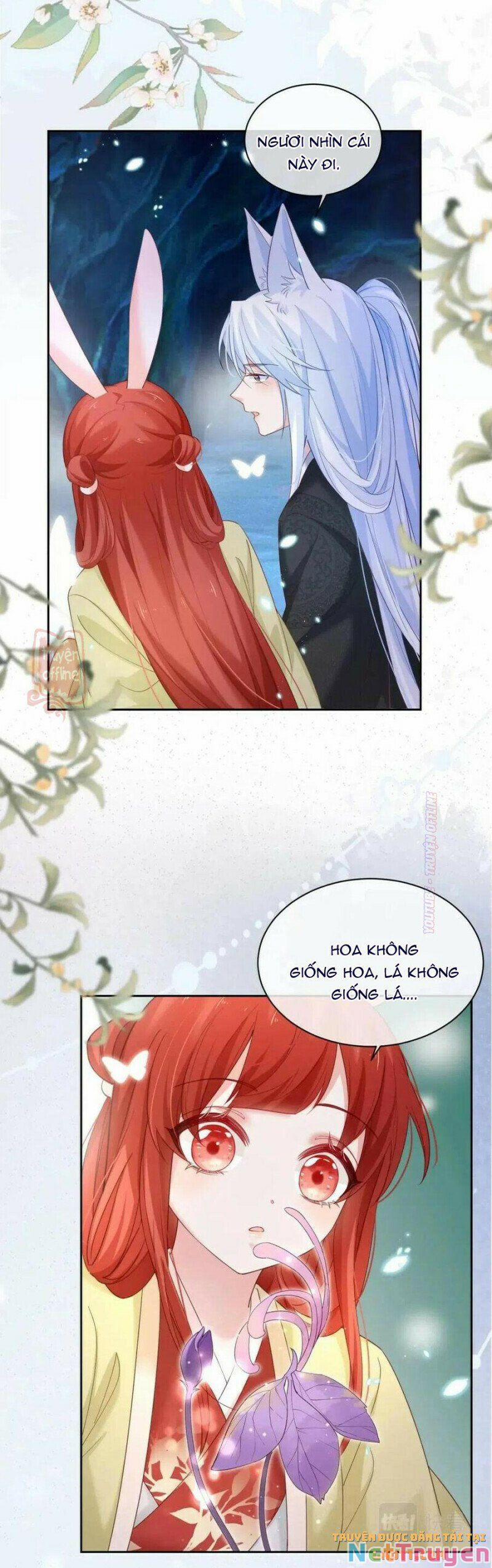 Nuôi Thỏ? Nam Chính Hắc Hóa Rồi! 52 trang 2