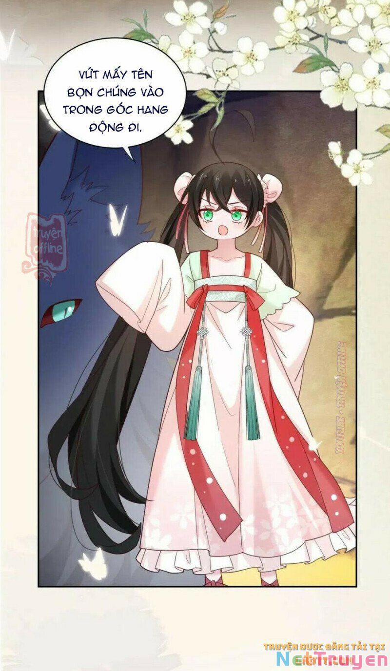 Nuôi Thỏ? Nam Chính Hắc Hóa Rồi! 52 trang 20