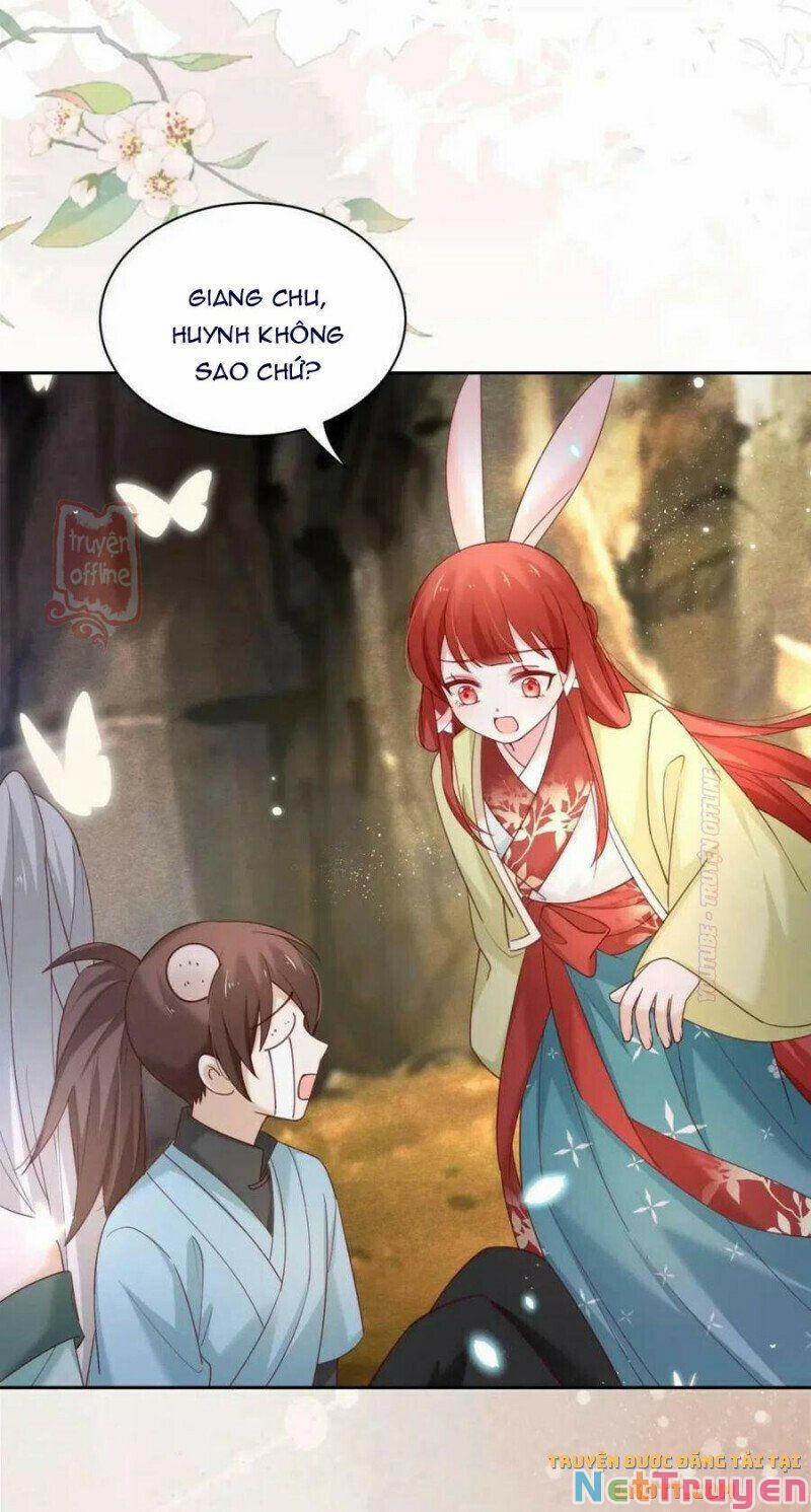 Nuôi Thỏ? Nam Chính Hắc Hóa Rồi! 52 trang 23