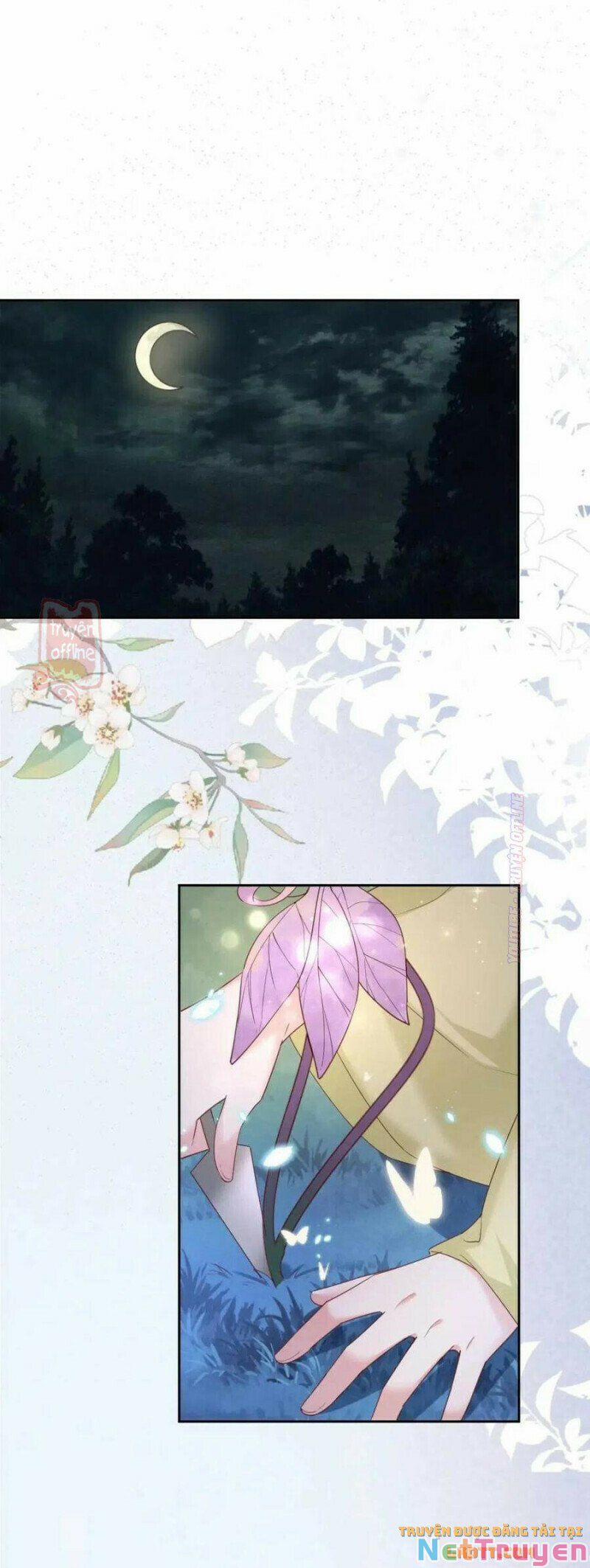 Nuôi Thỏ? Nam Chính Hắc Hóa Rồi! 52 trang 4