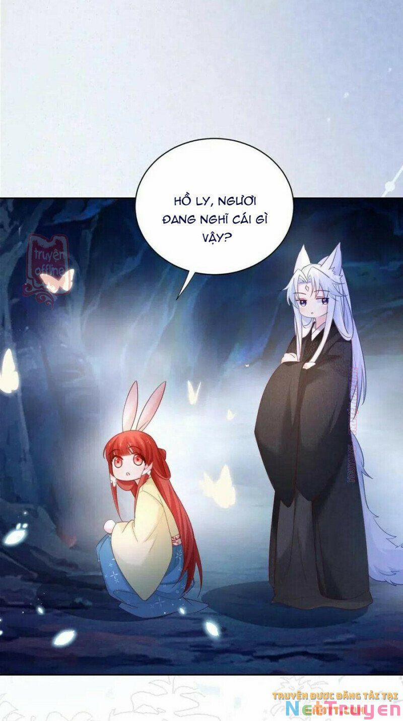 Nuôi Thỏ? Nam Chính Hắc Hóa Rồi! 52 trang 7